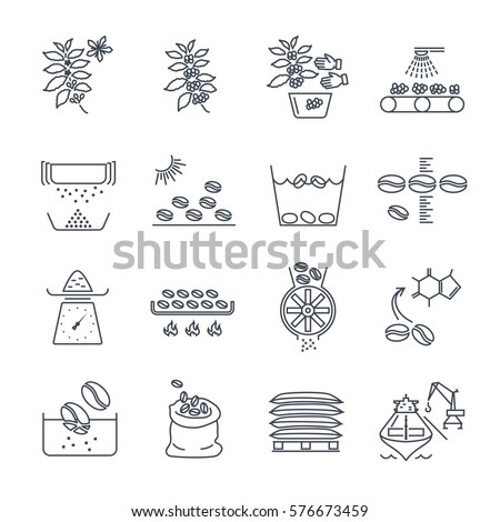 set of thin line icons coffee production and processing