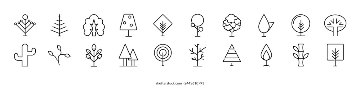 Set of thin line icons of deciduous, coniferous and tropical trees. Editable stroke. Simple linear illustration for web sites, newspapers, articles book 