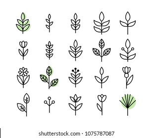 Set of thin line leaf icons vector