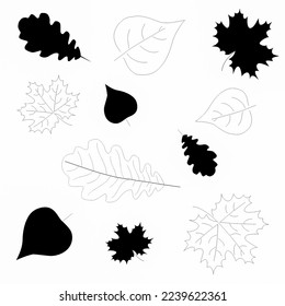 Set of thin line leaves icons isolated on white background. Outline of maple, oak and linden leaves of different sizes. Simple organic black leaf of oak, maple, linden. Pattern.