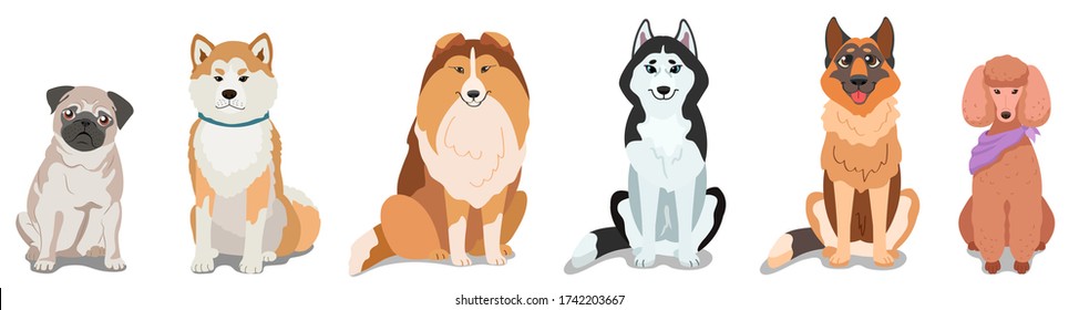 A set of thoroughbred dogs are sitting in a row. Husky, German shepherd, pug, collie, poodle, akita. Isolated vector drawing on a white background.
Long banner