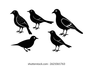 Set of Thraupidae Bird Silhouette Vector Design