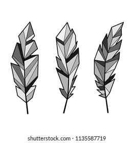 Set of three abstract gray feathers isolated on white background