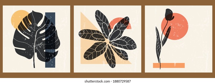 A Set Of Three Abstract Minimalist Aesthetic Floral Illustrations. Black Silhouettes Of Plants On A Light Background. Modern Monochrome Vector Posters For Social Media, Web Design In Vintage Style.