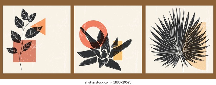 A set of three abstract minimalist aesthetic floral illustrations. Black silhouettes of plants on a light background. Modern monochrome vector posters for social media, web design in vintage style.