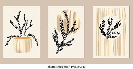 A set of three abstract minimalist aesthetic floral illustrations. Dark silhouettes of plants on a light background. Modern vector posters for social media, web design in vintage scandinavian style.