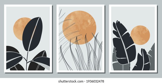 A set of three abstract minimalistic aesthetic floral illustrations. Dark silhouettes of plants on a light background with circles. Modern vector posters for social networks, web design, interiors. 