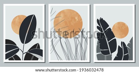 A set of three abstract minimalistic aesthetic floral illustrations. Dark silhouettes of plants on a light background with circles. Modern vector posters for social networks, web design, interiors. 