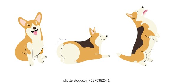 Se monta con tres adorables perros de raza corgi, realizando órdenes. Ilustración de vector aislado dibujada a mano en diseño plano