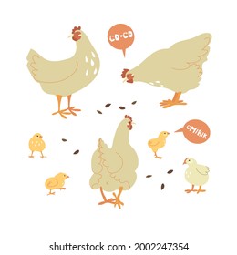 Set with three adult hens and chickens. Speech bubbles with quotes co-co, chirik, means birds sound. Isolated on white background. Flat, cartoon, vector illustration. Funny animals on the farm. 