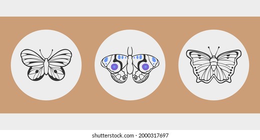 A set of three aesthetic circular posters. Different butterflies drawn with charcoal. Patterns on the wings. Cute insects for stories, social media profile avatars. Thin black outlines, bright spots.