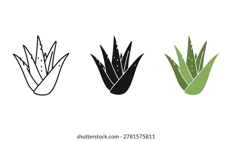 Set of three agave leaves drawn in varying line weights, showcasing minimalist botanical shapes. Simple and scalable vector artwork.