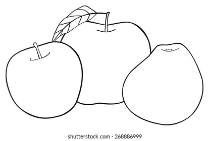 Set of three apples with a leaf on white background in the Delightful garden collection