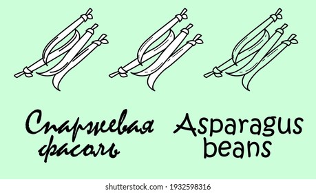 A set of three asparagus beans objects with the inscription "asparagus beans" in Russian and English. Simple vector illustration, eps
