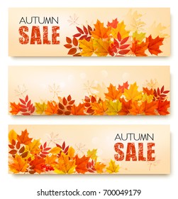 Set Of Three Autumn Sale Banners With Colorful Leaves And Berries. Layered Vector