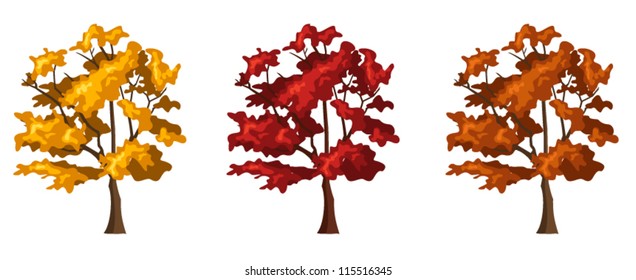 Set of three autumn trees. Vector illustration.