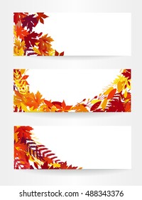 Set of three autumn vector banners, Colorful autumn leaves