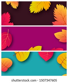 Set of three backgrounds with autumn leaves and place for your text.  Banner design for fall season banner or poster. Vector illustration