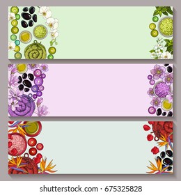 Set of three banner templates with spa salon accessories and tropical flowers on white background in green, purple and red tones, sketch vector illustration. Set of banner designs with spa accessories
