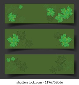 Set of three banners with beautiful hand-drawn leaves. Vector illustration.