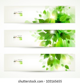 set of three banners with fresh green leaves