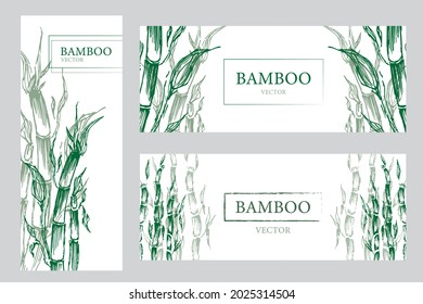 drei Banner mit grünen Bambusbäumen. Vektorgrafik Traditionelles Japanisch. Bambus-Flyer. Naturtropischer Pflanzenhintergrund