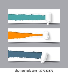 Set of three banners with torn paper with paper scroll and space for your message. Vector paper with ripped edges.