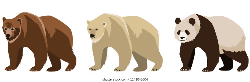 un conjunto de tres osos. Un oso pardo, un oso polar y un oso panda. Ilustración vectorial, objeto aislado