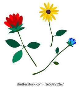 

set of three beautiful flowers