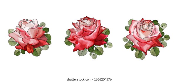 Set of three beautiful red flowers rose with green leaves. Isolated on white.Hand drawn.Watercolor style.For the design greeting cards,wedding invitation,valentines day.Vector stock illustration.