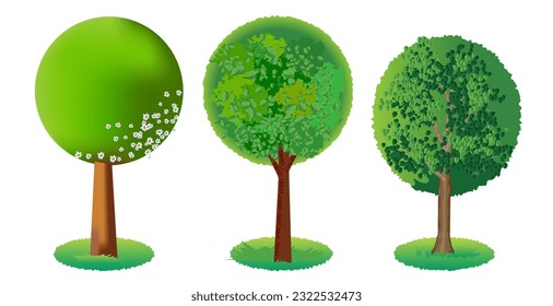 Set of three beautiful round trees cartoon style. Vector illustration isolated on white background.