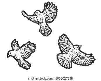 Set, three birds are flying. Engraving vector illustration. Sketch scratch board imitation.