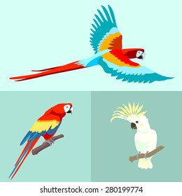 Set Of Three Birds Parrots Ara Macao And Kakadu. Bird In Flight And Sitting On A Branch. Bright Beautiful Exotic Creatures. Vector.