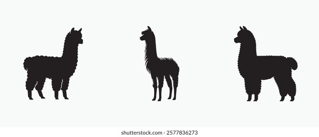 A set of three black alpaca silhouettes in different poses on a light gray background, ideal for branding, prints, and decorative designs