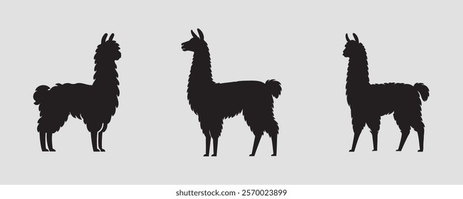 Set of three black llama silhouettes in different poses on a light gray background