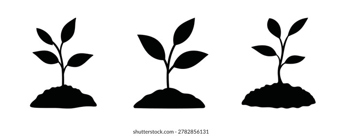 Set of three black silhouettes of small green plants growing from soil