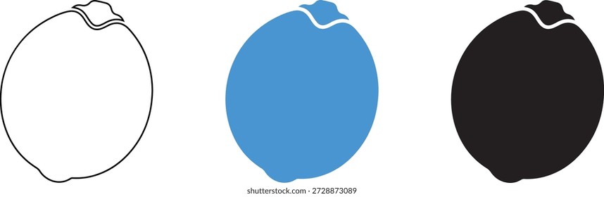 Set of Three Blueberry Illustrations in Simple and Modern Style