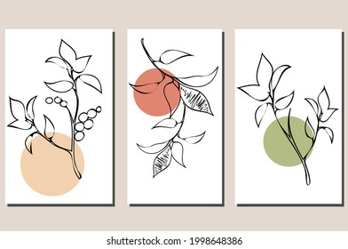 Un conjunto de tres dibujos botánicos con ramas y hojas. Ilustración vectorial para la decoración de paredes, diseño de cubiertas y postales