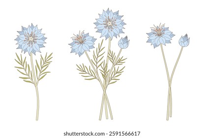 Set of three bouquets of blue nigella flowers. Bunches of blooming wildflowers with leaves, perennial wild plants. Botanical hand-drawn elements for design projects. Vector illustration