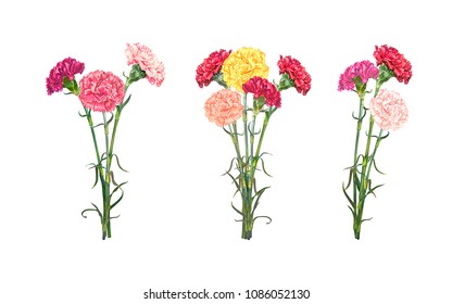 Set of three bouquets of colorful realistic Carnations isolated on white background. Vector illustration, EPS10 format.