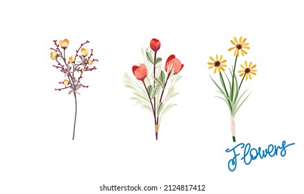 Set of three bouquets of flowers. Different compositions of branches, flowers, grass and leaves. Ready-made decorative templates. Vector graphics