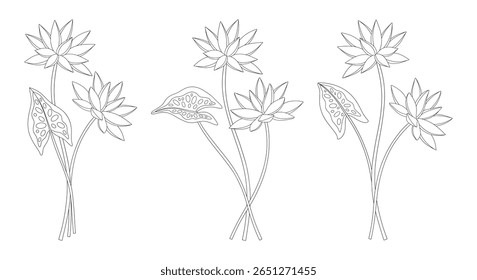 Set of three bouquets of nymphaea flowers. Bunches of blooming water wild plants. Line art, minimal style, contour. Botanical hand-drawn elements for design projects. Vector illustration