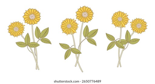 Conjunto de três buquês de flores amarelas. Cochos de flores silvestres florescentes com folhas, plantas selvagens perenes. Elementos botânicos desenhados à mão para projetos de design. Ilustração vetorial