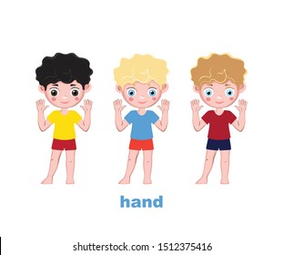 A set of three boys pointing their fingers at their body part - their hands. Poster for kindergarten. 