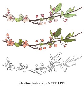 Set with three branches of cherry blossom. Little pink flowers on white background. Vector design elements.