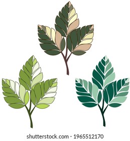 Set of three branches with leaves for the design of cards, flyers, textiles. Vector illustration, isolated background