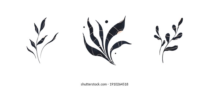 Set of three branches.Floral modern pattern. Trendy universal template. Good for printing, cover, flyer, poster, invitation, card, social advertising.