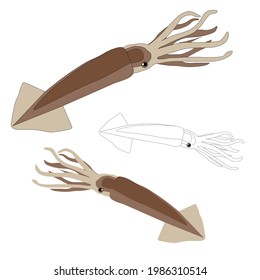 Set of three brown squid coloured and an outline for colouring with cartoon eyes