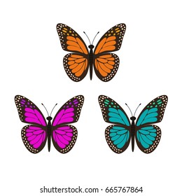 Set of Three butterflies. 