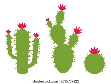 Set of three cactus standing in a row vector, set of green cactus with pink flowers, set of cactus flowers, cute succulents silhouettes